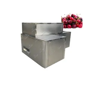 Máquina automática separadora de semillas de frutas Máquina de tonificación Des Máquina eléctrica de deshuesado de cerezas para deshuesar frutas