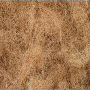 Fibra de coco de calidad de exportación fibra de coco procesada limpia fuerte perfecta para compradores mayoristas e industriales globales - Product Image 1