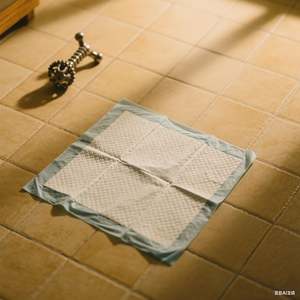 Suministros de Entrenamiento para Gatos, Almohadillas de Entrenamiento para Mascotas Desechables, Biodegradables e Impermeables para Ayudar en el Entrenamiento para Ir al Baño - Product Image 3