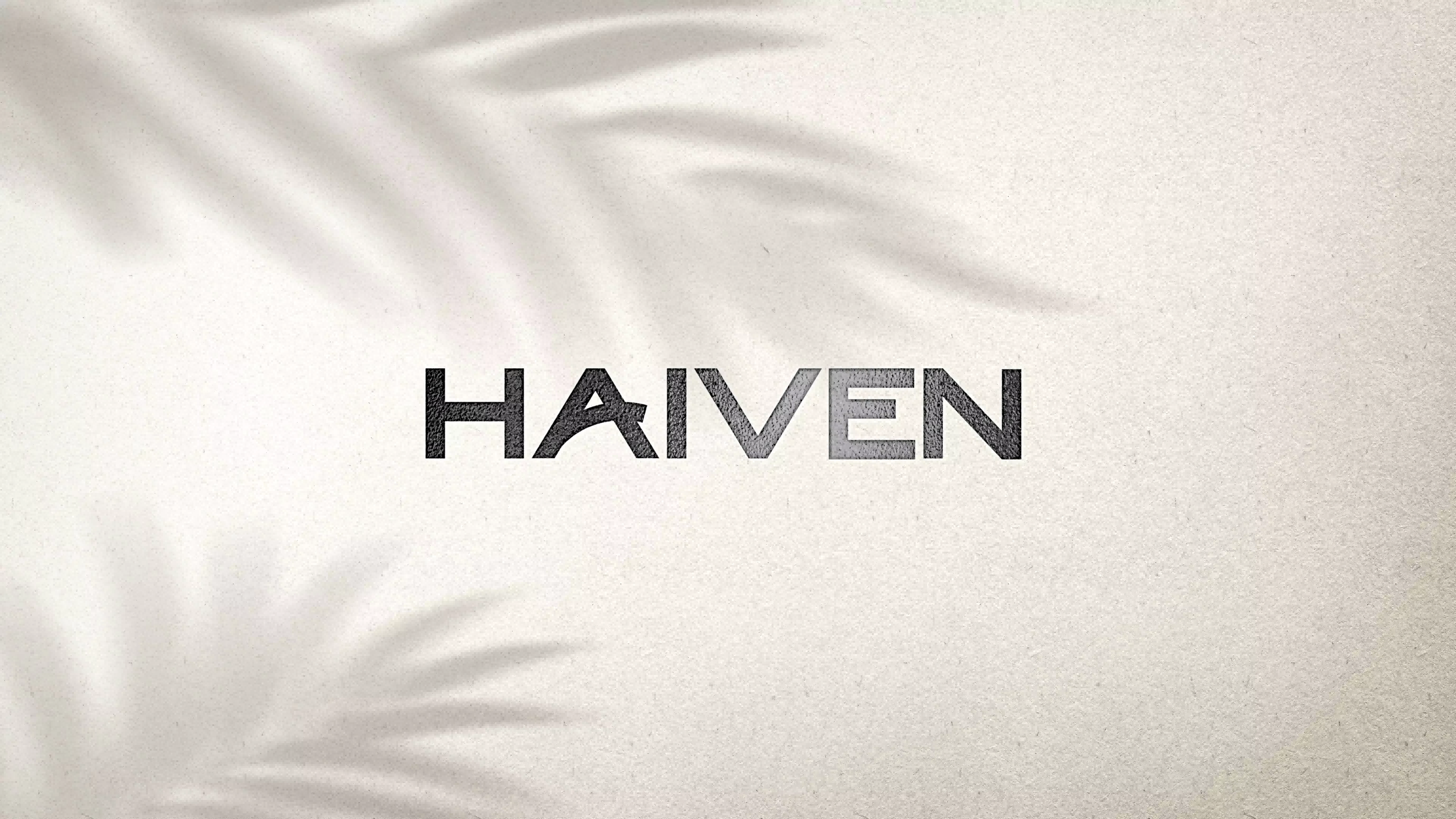 HONG KONG HAIVEN LIMITED logo