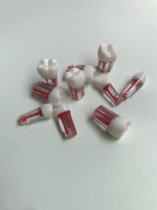ฟันซินเต็มฟันรากฟันเทียม - Product Image 3