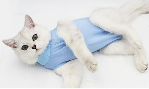 पेटकोर iot बिल्ली चिकित्सा बनियान मॉडल कपास लचीला पेशेवर रिकवरी सूट सर्जरी के बाद आधुनिक डिजाइन सभी मौसमों - Product Image 3