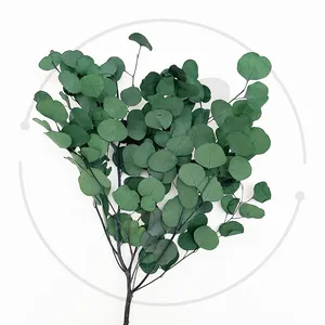 운남 도매 고품질 보존 사과 잎 유칼립투스 영원한 화환 디자인