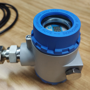 Capteur de niveau d'eau chaude submersible en acier inoxydable, indicateur de niveau, sortie de signal 4-20mA, sans fil, pour une mesure de niveau à prix abordable - Product Image 2