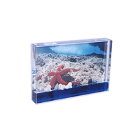 Cadre photo flottant en plastique transparent personnalisé 4x6 avec paillettes, cadre photo en acrylique aquatique avec flotteur de requin