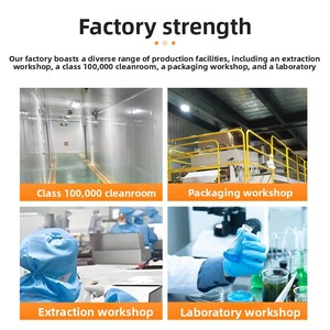 Blue Cap, marca originale Baozhongbao, compresse masticabili di vitamina C per adulti, 60 pezzi, offerta speciale, migliora la memoria e il sonno, corpo sano - Product Image 3