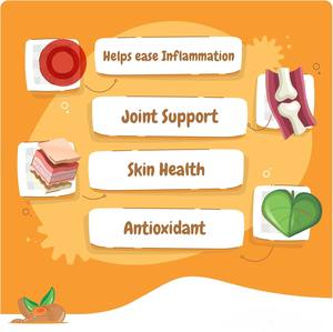 猫のためのカスタムウコンクルクミンソフトチューペットヘルスケアサプリメント治療食品容易炎症炎症酸化防止心臓血管 - Product Image 2