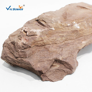 Natural sandstone and shale specimen; transitional lithology of sandy and argillaceous material; clear bedding structure; - Product Image 4