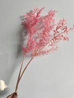 Daun Ruscus Alami Awet Kering Putih Grosir untuk Hari Ibu Wisuda Hari Valentine Natal Paskah Halloween