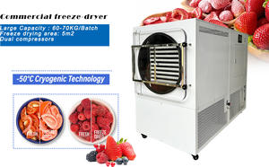 Máquina de Secado por Congelación de Alimentos de Uso Industrial, 18 Bandejas, 5m2 -70, 60-70kg, para Frutas, Verduras, Manzana, Aguacate, Plátano y Carambola - Product Image 3