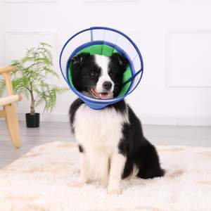 Zachte Hondenkegel Verstelbare Huisdierherstel E Halsband Plastic Hond Kattenkegel Na Operatie Anti-Bite Elizabethaan Halsband Voor Honden - Product Image 6
