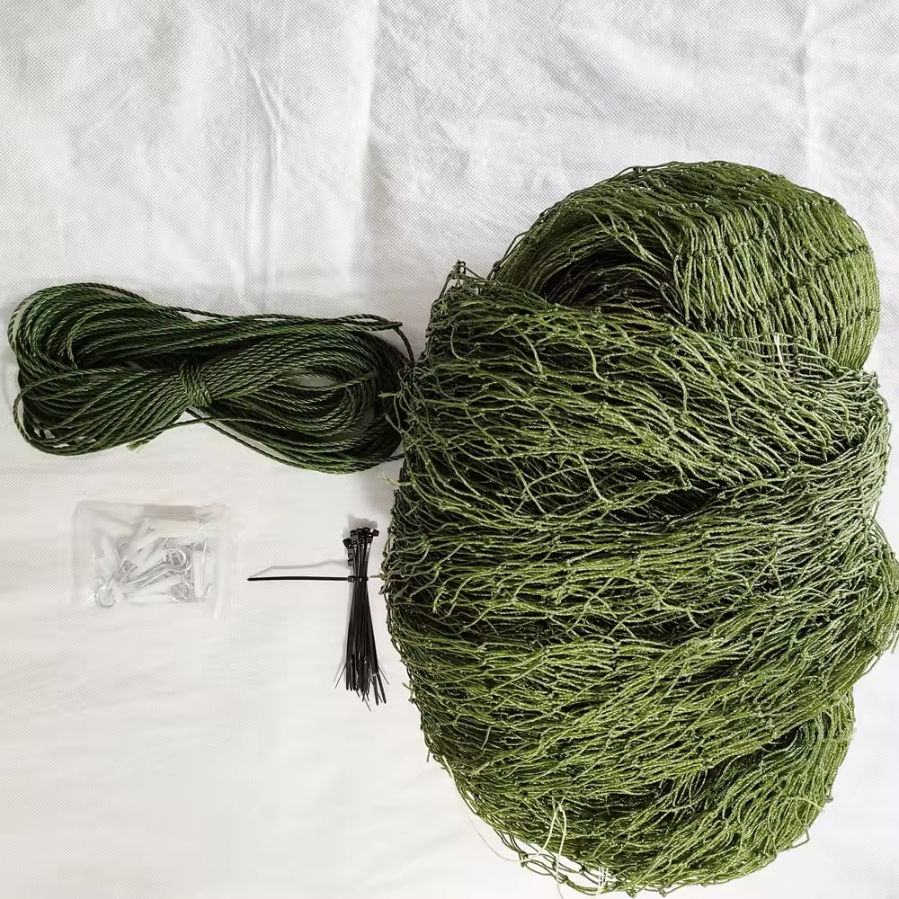 Pasto verde