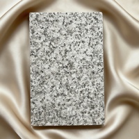 Baldosas de Porcelana de 20 mm, Diseño Rústico, Antideslizantes, Resistentes al Desgaste, para Exteriores, 600x900 mm, para Jardín, Patio, Villa
