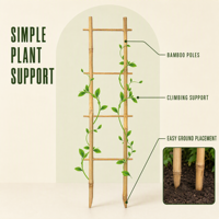 Penyangga Tanaman dari Bambu OEM, Tiang Bambu untuk Tanaman Pot Dalam Ruangan, Tanaman Merambat Monstera, Anggrek, Hoya, dan Tanaman Rumah