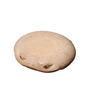 Bamboo <b>Tea</b> Mat Round Eco-Friendly For Kung Fu <b>Tea</b> <b>Set</b> Afternoon <b>Tea</b> Traditional Chinese Style Gift - Product Image 5