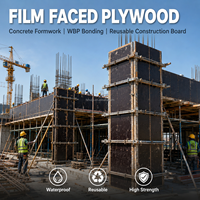 Contrachapado Recubierto de Película Negra WBP, Tablero de Unión de 1220x2440 mm para Construcción y Encofrado