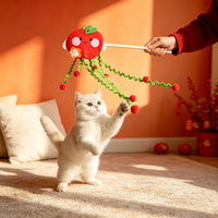 Jouet d'exercice créatif pour chat en feutre et plumes, aux couleurs festives et motifs de dessins animés ; personnalisable pour l'entraînement des chats
