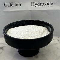 Poudre de chaux hydratée à bas prix, pureté supérieure à 95 %, Ca(OH)2, hydroxyde de calcium