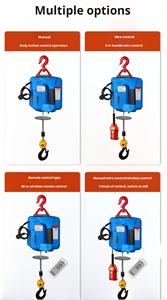 चीन 200 किलोग्राम-500 किलोग्राम इलेक्ट्रिक होस्ट 220v सिंगल-फेज स्टील वायर रस्सी लिफ्टर वायरलेस रिमोट कंट्रोल - Product Image 6