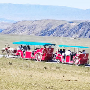 Carruaje <span class=keywords><strong>de</strong></span> caballos real <span class=keywords><strong>de</strong></span> lujo, carruaje tirado por caballos, vagón eléctrico, carruaje turístico <span class=keywords><strong>para</strong></span> llevar a 23 <span class=keywords><strong>pasajeros</strong></span> a recorrer - Product Image 6