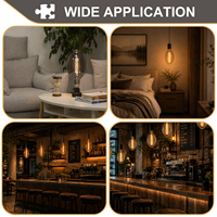 Ampoule LED à filament vintage BT56 en verre fumé, 7W E26 400LM 2200K, blanc chaud, style Edison, pour hôtel et villa - Offre Spéciale