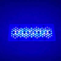 Nouveauté : Lampe LED d'aquarium A8pro III MAX Blue Moon Light de 3e génération avec LED Cree et sortie à haute valeur PAR