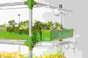 Kit d'agriculture en serre aquaponique hydroponique intelligente système de culture modulaire en pot de plantes intérieur extérieur légumes herbes fleurs agr - Product Image 5