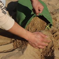 Sacs de sable épais réutilisables pour le contrôle des inondations de jardin et la gestion de l'eau de pluie Fournitures de jardinage