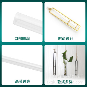 Wall Vase Glass Hydroponic Tube Cylinder Metal <b>Frame</b> Hanging Plant Display Modern Farmhouse Style - Product Image 4