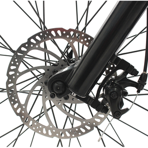 Nouvel article 48v750w moyeu moteur 48v14ah batterie au lithium vélo de montagne électrique fatbike - Product Image 6