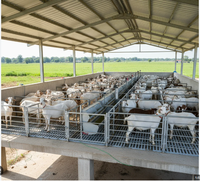Abri pour chèvres surélevé en acier galvanisé moderne avec plancher à lattes, pour l'élevage de moutons