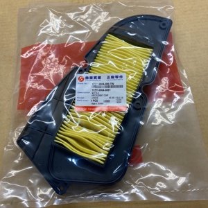 OEM Air <b>Filter</b> HD & HD2 125/200, for LXR 125/200, 17211-HHA-000 / 801361 - Product Image 2
