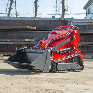 Epa Gecertificeerde Hoge Efficiëntie Schranklader Mini Crawler <span class=keywords><strong>Loader</strong></span> - Product Image 1
