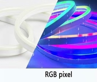10m 12V DC LED Warna-Warni Tembaga WS2812B Lampu String Kontrol Jarak Jauh via Aplikasi USB IP67 Tahan Air Set Tabung Silikon Dapat Diredupkan