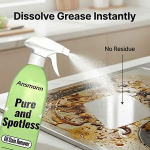 Ansmann Nettoyant Dégraissant Puissant pour Cuisine en Spray - Action Rapide et Détachant Polyvalent - Product Image 2