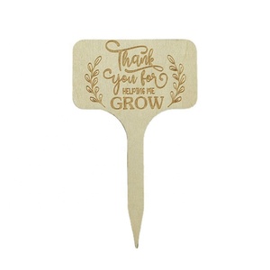 Etichette in Legno <span class=keywords><strong>per</strong></span> Piante Grasse, Targhette Vuote a T, Rotonde ed Esagonali, Segnaposto <span class=keywords><strong>per</strong></span> Piante in Vaso <span class=keywords><strong>da</strong></span> <span class=keywords><strong>Giardino</strong></span>, <span class=keywords><strong>per</strong></span> Ortaggi, <span class=keywords><strong>Fiori</strong></span> e <span class=keywords><strong>Semi</strong></span> - Product Image 2