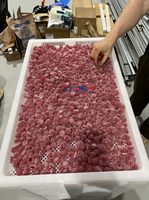 Medium Output Gummy Bear Jelly Gummy Making Machine Goedkope Prijs Gummy Productielijn