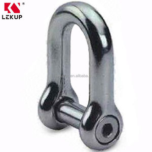 สลักยึดแบบยุโรปชนิดหัวร่องวงรีขนาดใหญ่ AISI304/316 สแตนเลส สลักยึดรูปตัว D สแตนเลส - Product Image 1