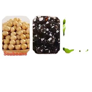 Tapioca <b>Pearls</b> Making Equipment <b>Pearl</b> Powder Round Machine High Quality Taro Ball Machine - Product Image 4