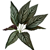 Buisson de feuilles de Calathea rayées artificielles, fausse verdure pour arrangements floraux de mariage, toile de fond murale florale, plantes artificielles en gros