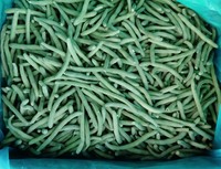 Haricots verts congelés de qualité supérieure Marques abordables de haricots verts congelés Prix pour les importateurs Haricot vert congelé IQF de qualité supérieure