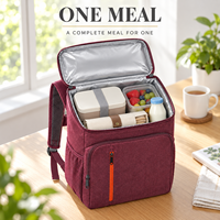 Sac isotherme pour boîte à lunch, sac isotherme Oxford grande capacité avec fermeture éclair et bretelles, commandes en gros bienvenues