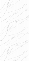 Panneau mural en PVC imperméable de 1000 mm x 10 mm pour intérieur, idéal pour les puits d'eau