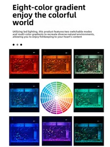 <span class=keywords><strong>ตู้</strong></span><span class=keywords><strong>ปลา</strong></span>ตั้งโต๊ะทันสมัยพร้อมฐานเก็บของสองชั้น ไฟไล่เฉดสีแปดสี กระจกใสพิเศษสำหรับห้องนั่งเล่น - Product Image 4