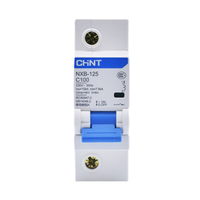 Le disjoncteur miniature de série de NXB-125 de Chint NXB-125 1P C125 a évalué la capacité de rupture MCB du courant 10KA