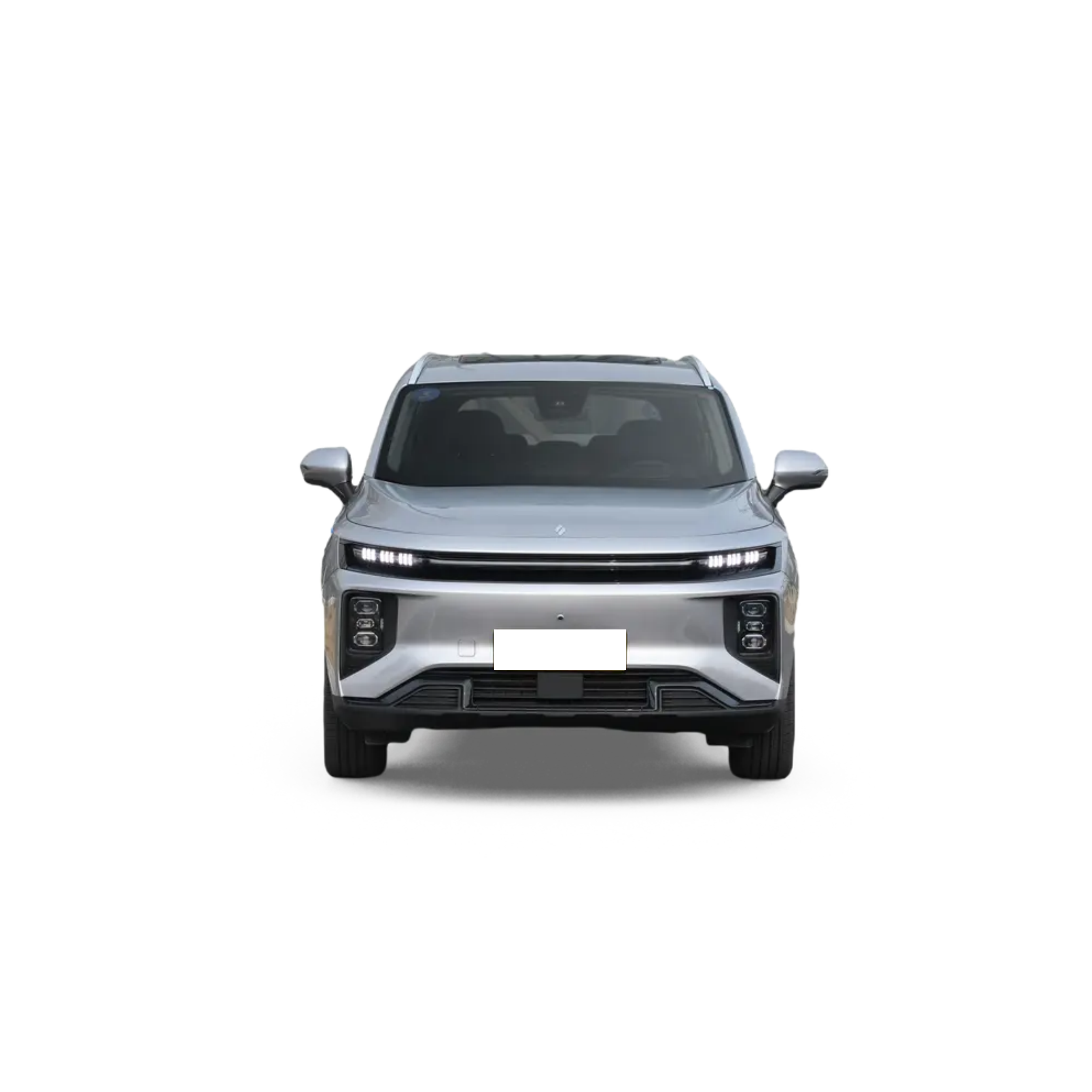 Livan 9 Ruilan SUV - Pure Electric Car with 5 Doors & 6 Seats