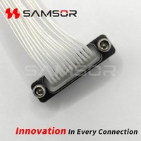 Conector Rectangular de Aviación Serie J30J MIL-DTL-83513 Micro-D, Conector Pigtail J30J-25TJL, Ensamblaje de Cable Personalizado