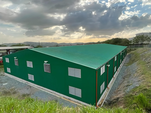Kit di Costruzione Magazzino in Struttura d'Acciaio RUIXING con Gru a Ponte per Uso Industriale, Officina, Fabbrica, Stoccaggio e Logistica - Durata 5+ Anni - Product Image 2