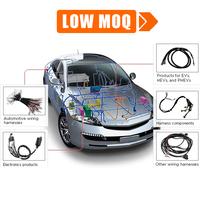 Produsen Perakitan Kabel Harness OEM Otomotif, Isolasi PVC, Panjang Dapat Disesuaikan, Konduktor Tembaga Telanjang Berperingkat 12V