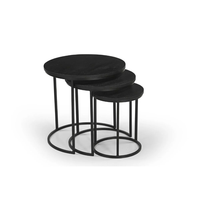 Ensemble de tables basses gigognes modernes en métal de style luxueux avec design décoratif, meubles écologiques pour salon et chambre à coucher